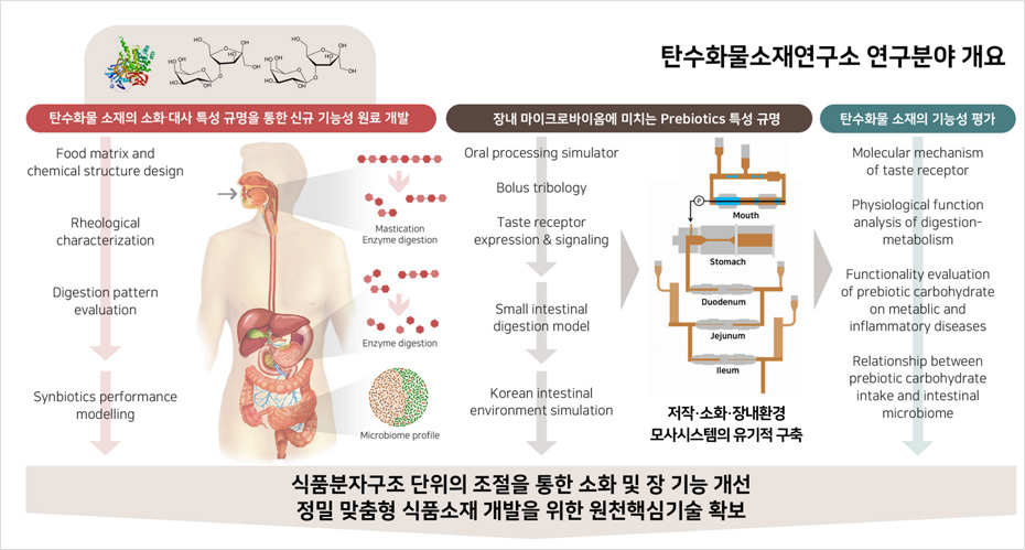 연구이미지